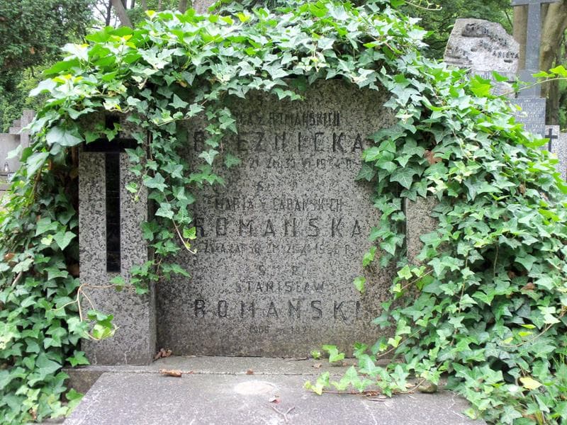 Zdjęcie grobu Wanda Rzeźnicka (2)