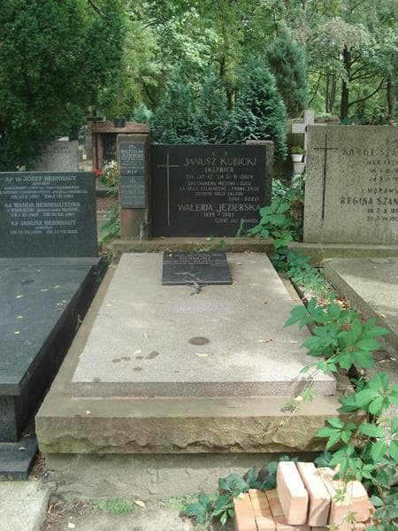 Zdjęcie grobu: Bogusław Kubicki
