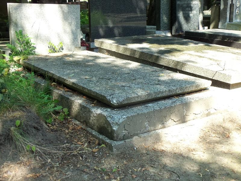 Zdjęcie grobu Leopold Jesionek (1)