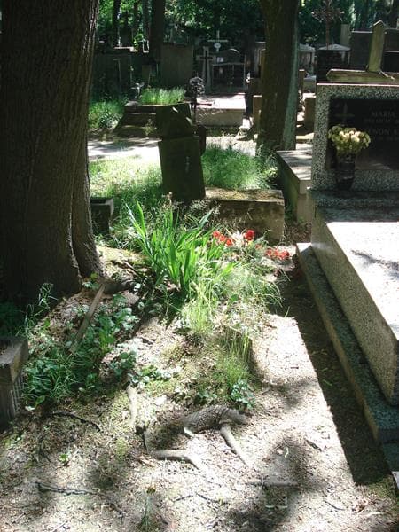 Zdjęcie grobu: Jaromir Poisel