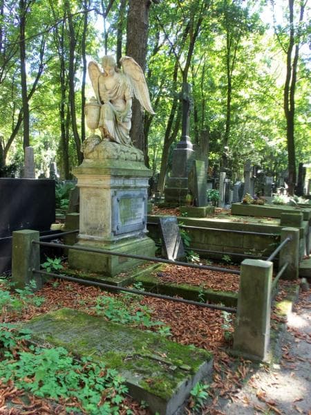 Zdjęcie grobu Aleksander Czajkowski (1)