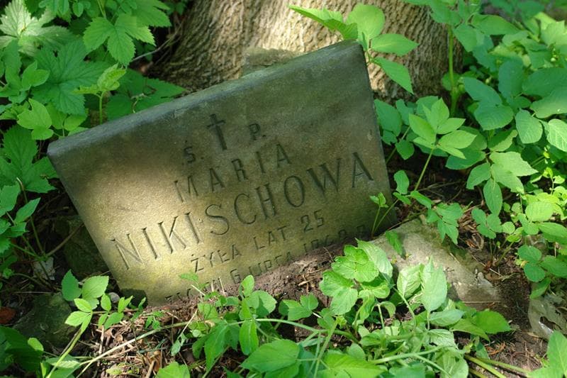 Zdjęcie grobu Maria Nikischowa (2)