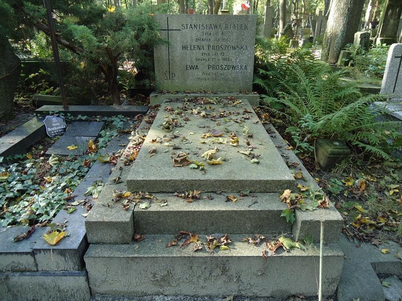 Zdjęcie grobu: Stanisława Białek