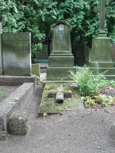 Zdjęcie grobu: Gracjan Tański