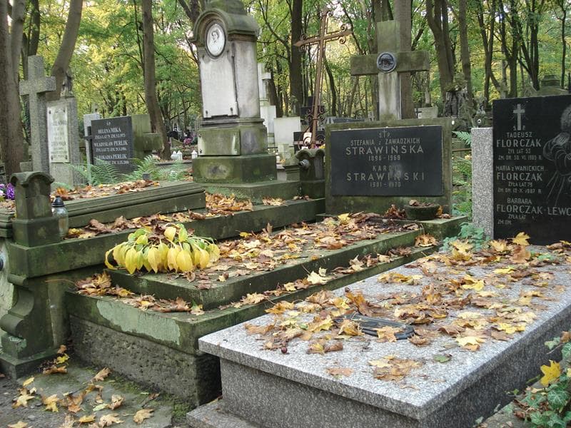 Zdjęcie grobu Stefania Strawińska (1)