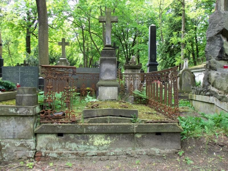 Zdjęcie grobu: Józef Aleksander Junosza Szaniawski