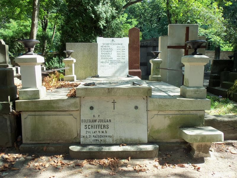 Zdjęcie grobu: Danuta Drużyńska