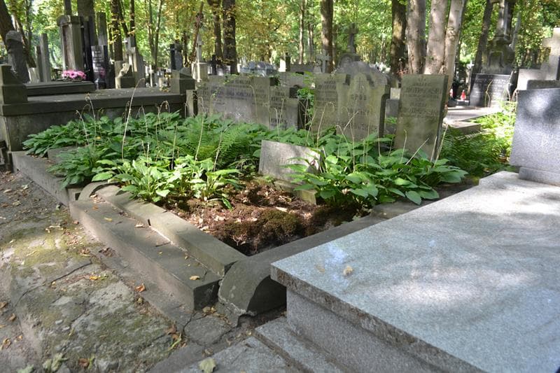 Zdjęcie grobu: Jan Chotkowski