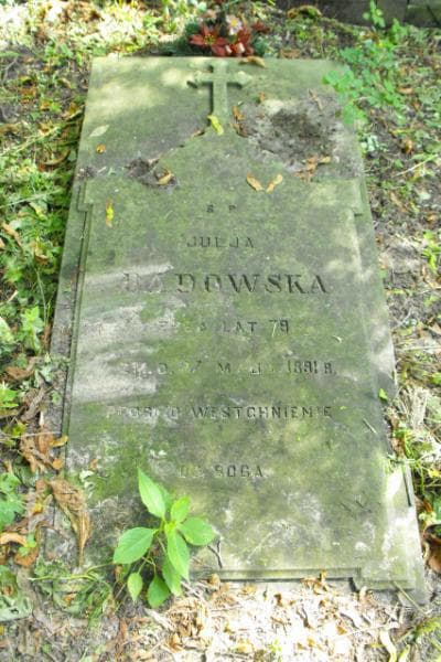 Zdjęcie grobu Julja Badowska (2)