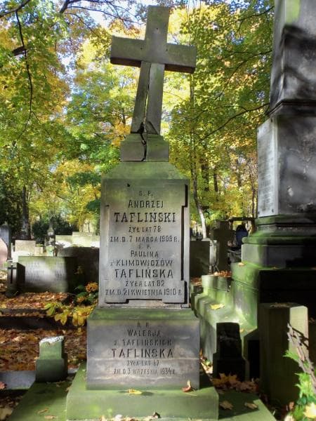 Zdjęcie grobu Walerja Taflińska (2)