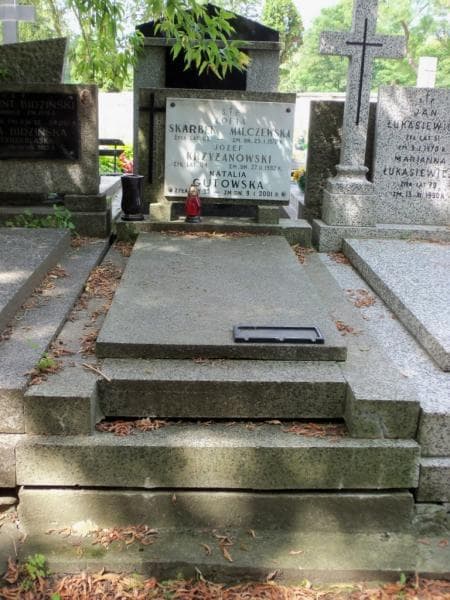 Zdjęcie grobu Józef Krzyżanowski (1)