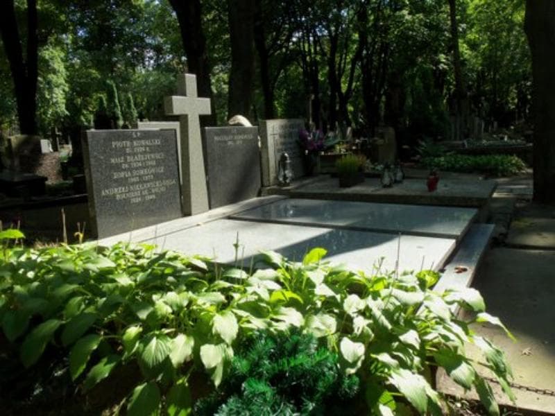 Zdjęcie grobu ... Błażejewski (1)