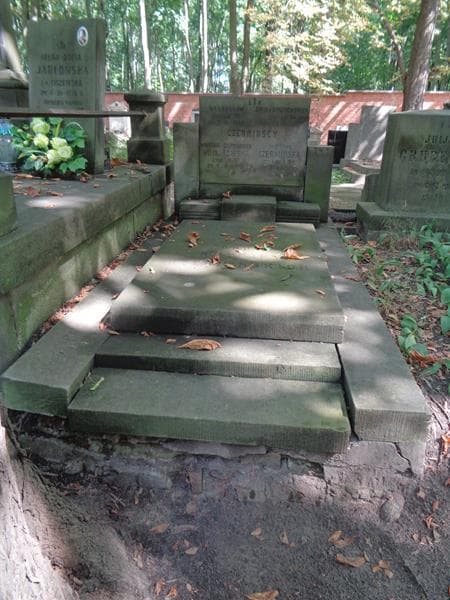 Zdjęcie grobu Zofia Czermińska (1)