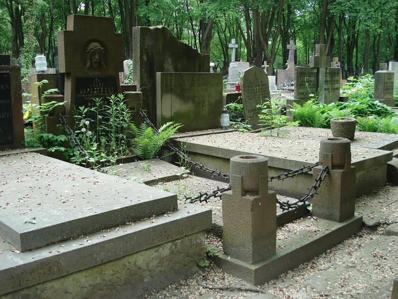 Zdjęcie grobu Julia Jastrzębiec-Baranowska (1)