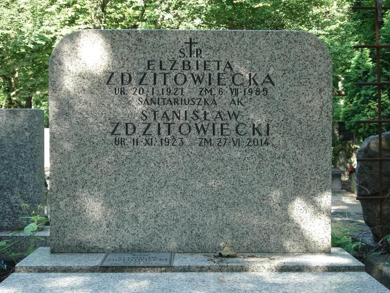 Zdjęcie grobu Stanisław Zdzitowiecki (2)