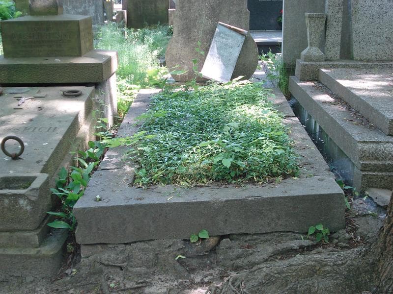 Zdjęcie grobu: Franciszek Nowosielski
