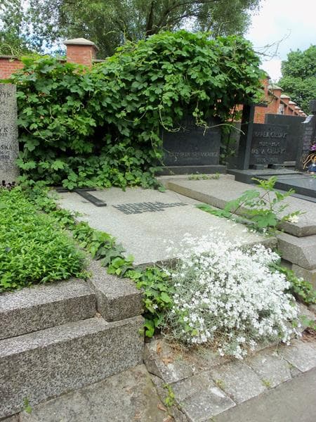 Zdjęcie grobu Czesław Gołębiewski (1)
