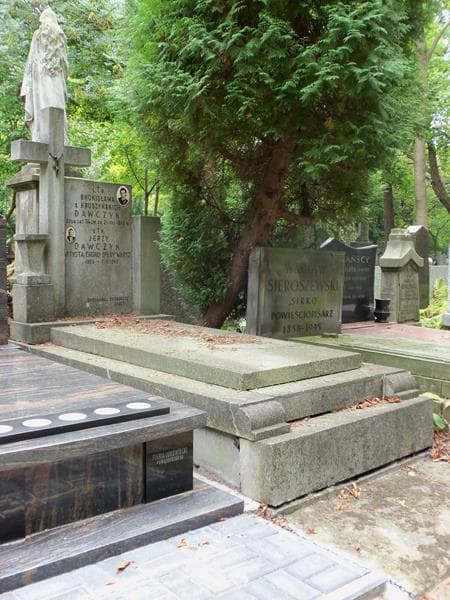 Zdjęcie grobu Bronisława Dawczyk (1)