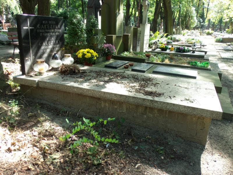 Zdjęcie grobu Antoni Bagiński (1)