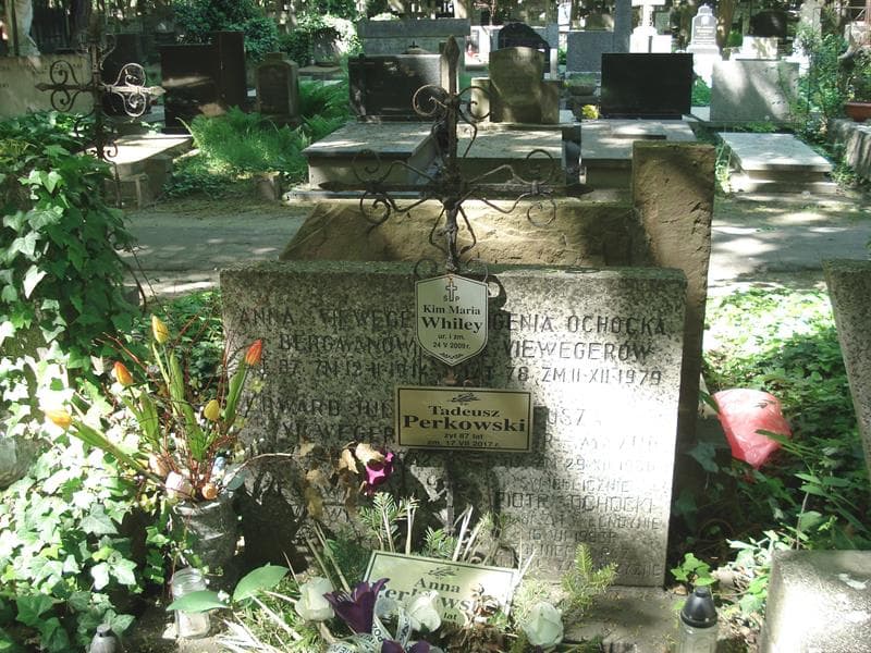 Zdjęcie grobu Anna Perkowska (1)