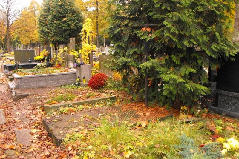 Zdjęcie grobu Irena Walęga (1)