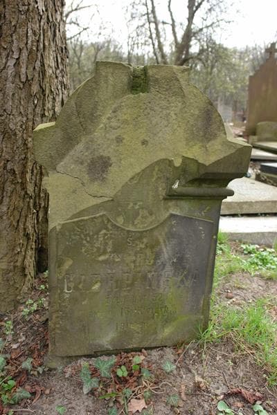 Zdjęcie grobu Marja Cierpińska (1)