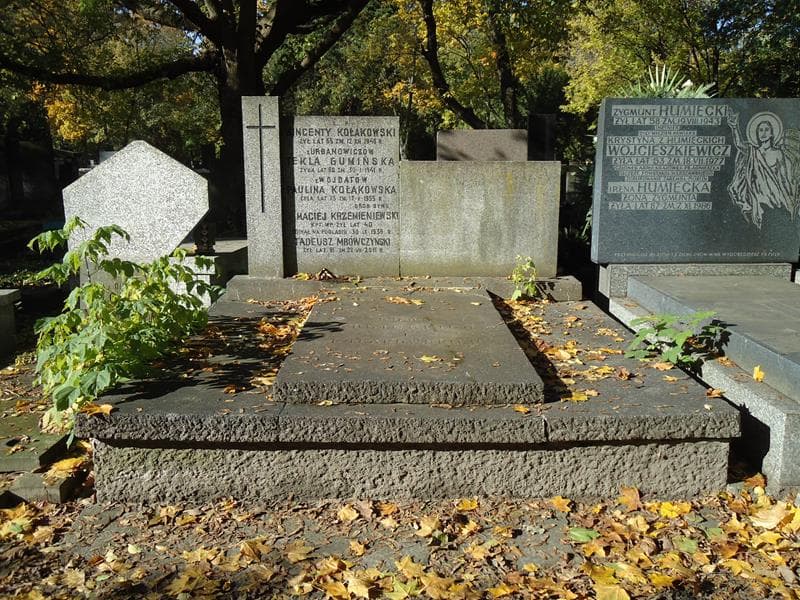 Zdjęcie grobu: Maciej Krzemieniewski