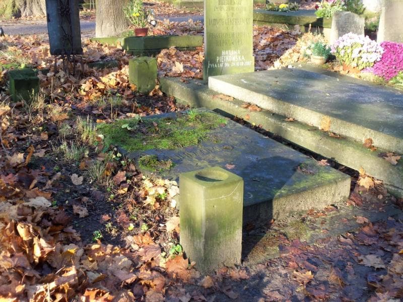 Zdjęcie grobu Budzyńscy (1)