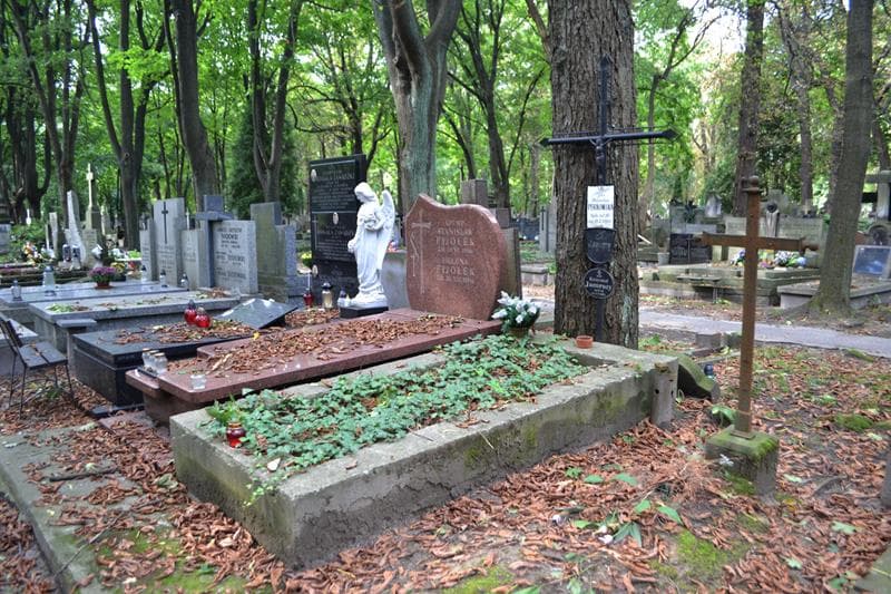 Zdjęcie grobu: Wanda Perkowska
