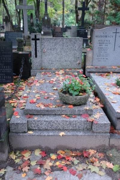 Zdjęcie grobu: Edward Dziudzi
