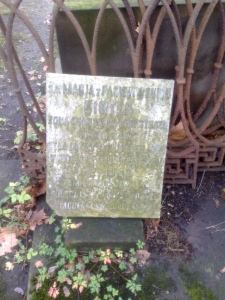 Zdjęcie grobu Zygmunt Eugeniusz Pokrzywiński (2)