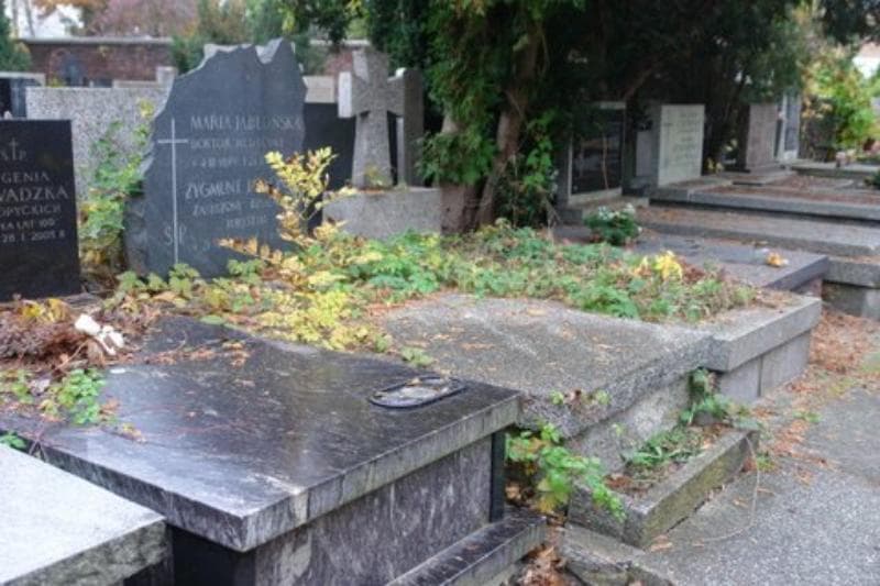 Zdjęcie grobu Zygmunt Jabłoński (1)