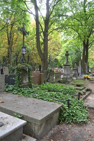 Zdjęcie grobu: Bronisława Marta Kozłowska