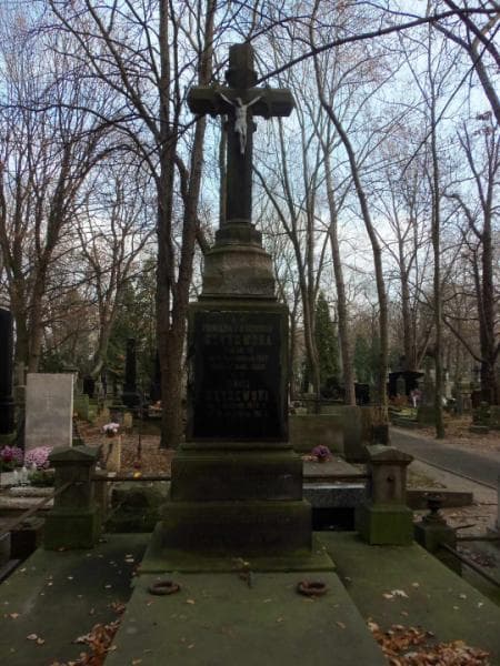 Zdjęcie grobu Karol Głaziewicz (2)