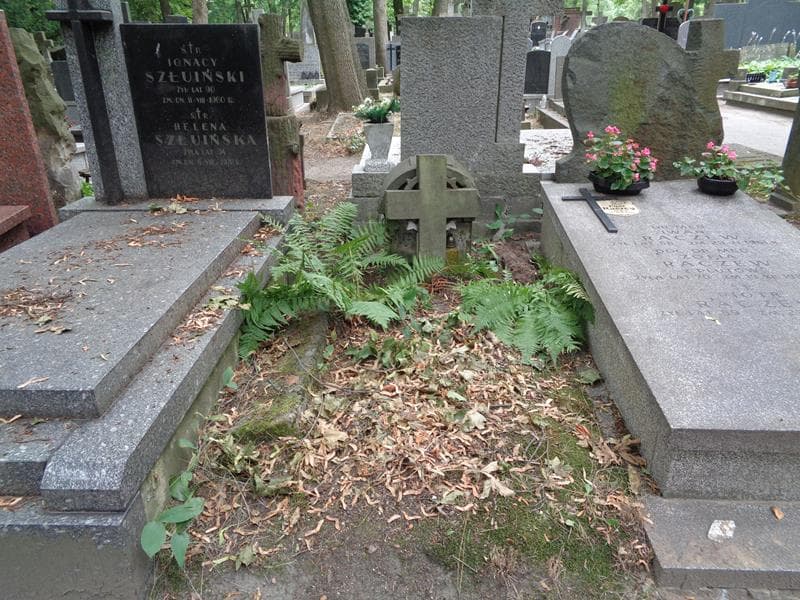 Zdjęcie grobu Franciszka Niedzińska (1)