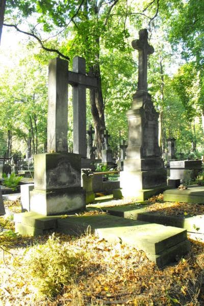 Zdjęcie grobu Franciszek Kraczkiewicz (1)