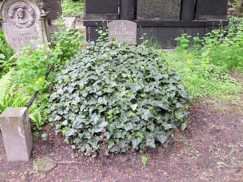 Zdjęcie grobu: Jan Dzierżawski