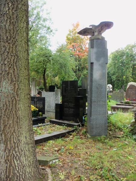 Zdjęcie grobu Karol Hoffman (1)