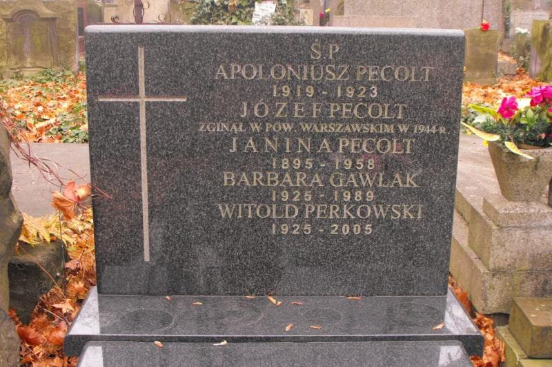 Zdjęcie grobu Witold Perkowski (2)