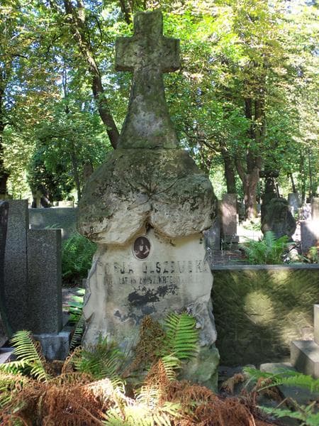 Zdjęcie grobu Zofja Olszewska (2)