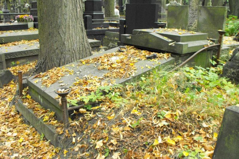 Zdjęcie grobu Ryszkiewiczowie (1)