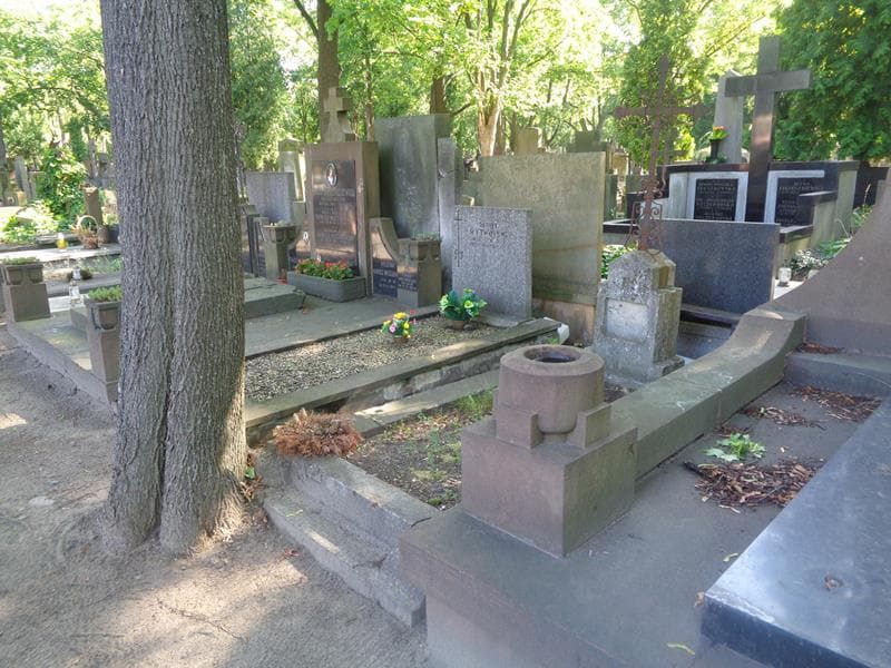 Zdjęcie grobu: Józef Tołpyho