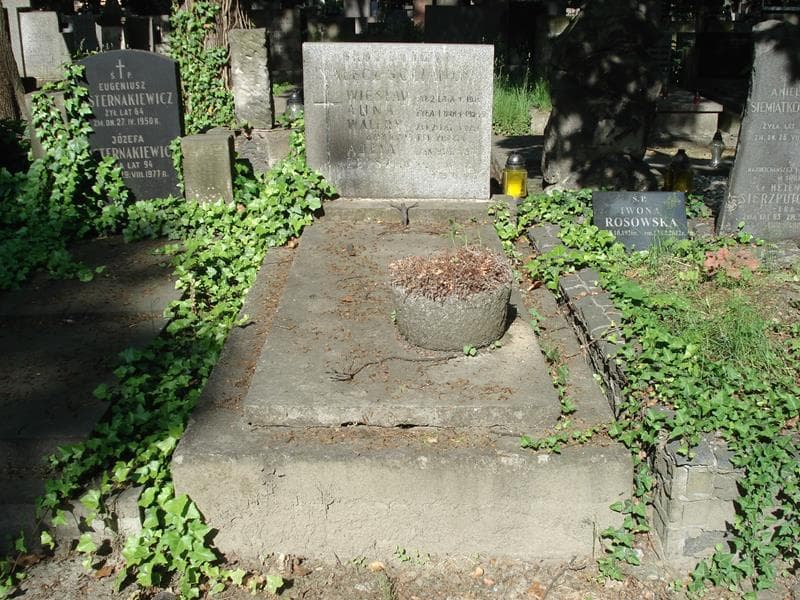 Zdjęcie grobu: Walery Nałęcz-Golian
