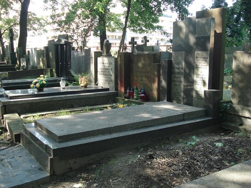 Zdjęcie grobu: Helena Trzebińska