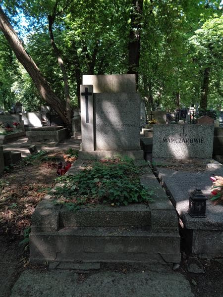 Zdjęcie grobu Władysław Tatarynowicz (1)