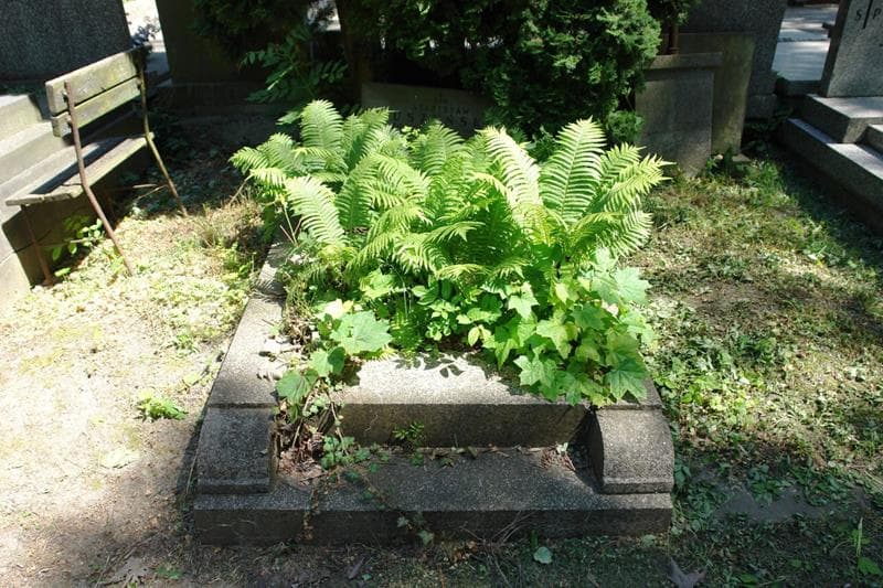 Zdjęcie grobu Stanisław Duszyński (1)