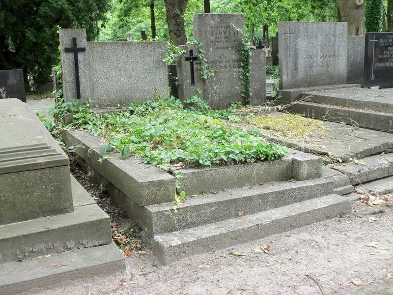 Zdjęcie grobu Zygmunt Chrzastowski (1)