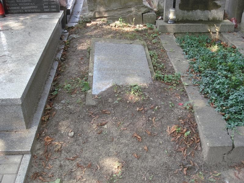 Zdjęcie grobu: Stefania Tempel