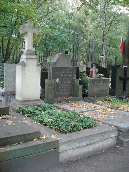 Zdjęcie grobu: Wanda Gołębiowska