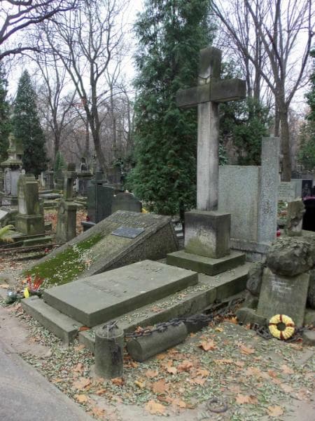 Zdjęcie grobu Władysława Królikowska (1)